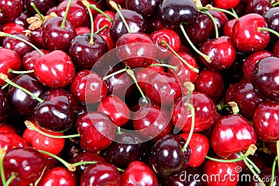 Cherries Stock Photo