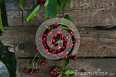 Cherries harvest in rural garden. Stock Photo