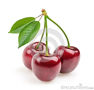 Cherries isolated Stock Photo