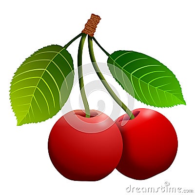 Cherries, red, with leaves. Isolated on white background. Illustration. Stock Photo