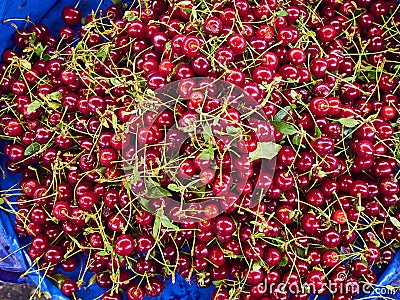 Cherries for sale in stall of a market. Stock Photo