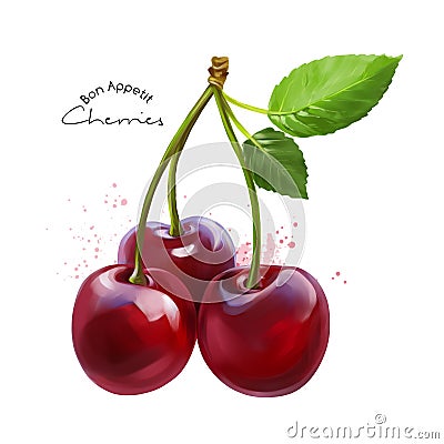 Cherries and splashes of watercolor painting Stock Photo