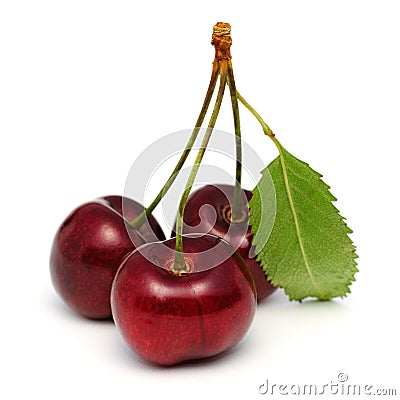 Cherries Stock Photo