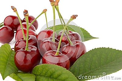 Cherries on a white background Stock Photo