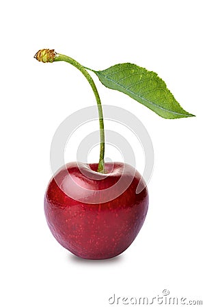 Cherry Stock Photo