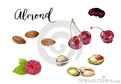 Cherry almond raspberry pistachio watercolor hand drawn illustration set Cartoon Illustration