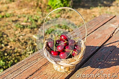 Cherry is on in the basket Stock Photo