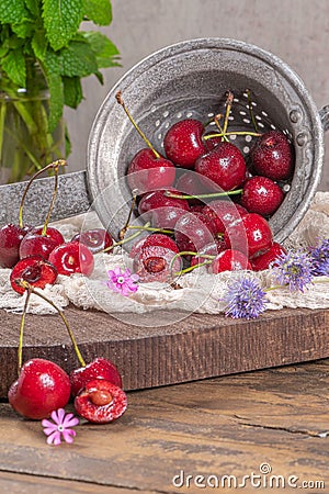 Cherry basket. Cherry tree branch. fresh ripe cherries. Sweet cherries in garden Stock Photo
