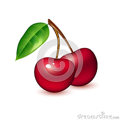 Vector realistic cherry berry fruit 3d isolated Vector Illustration