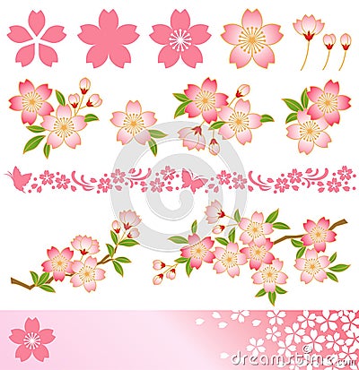 Cherry blossom Vector Illustration