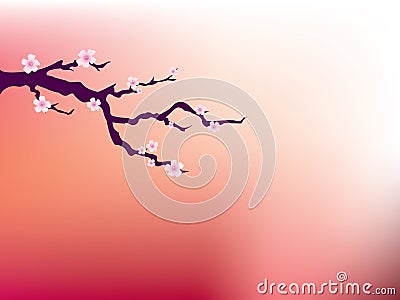 Cherry blossom Vector Illustration