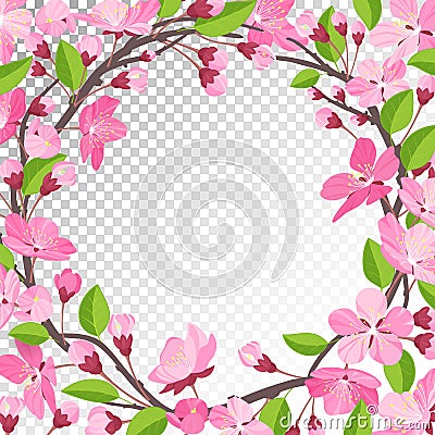 Cherry blossom background Vector Illustration