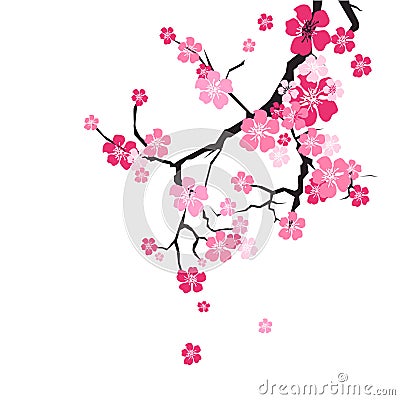 Cherry Blossom Background Sakura Flowers Pink On Branch Vector Illustration
