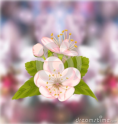 Cherry Blossom, Blur Nature Background Vector Illustration