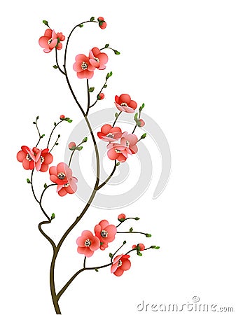 Cherry blossom branch abstract background Vector Illustration