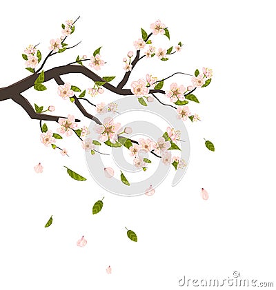 Cherry Blossom, Branch of Tree with Flying Petals Isolated Vector Illustration