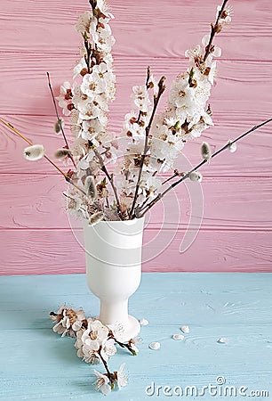 Cherry blossom branch, willow in vase on colored wooden background Stock Photo