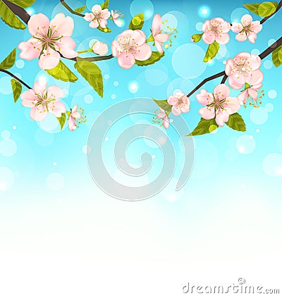 Cherry Blossom, Branches of Tree, Natural Glowing Background Vector Illustration