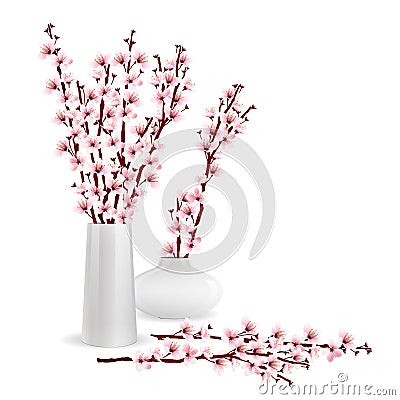 Cherry blossom branches in vase Vector Illustration