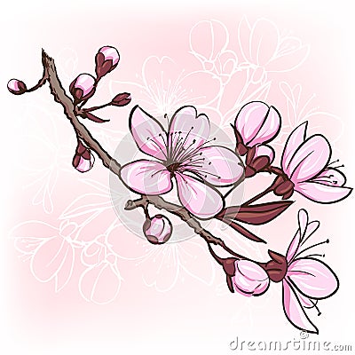 Cherry blossom Vector Illustration