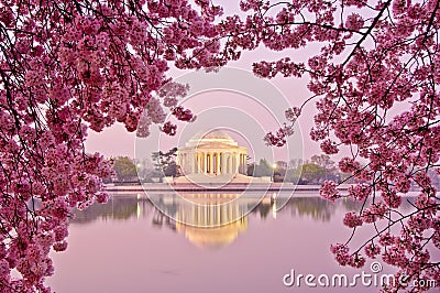 Cherry Blossom Festival in Washington, DC Stock Photo