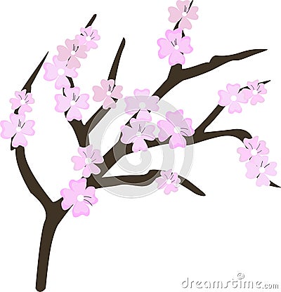 Cherry blossom flowers element. Sakura pink flowers Stock Photo