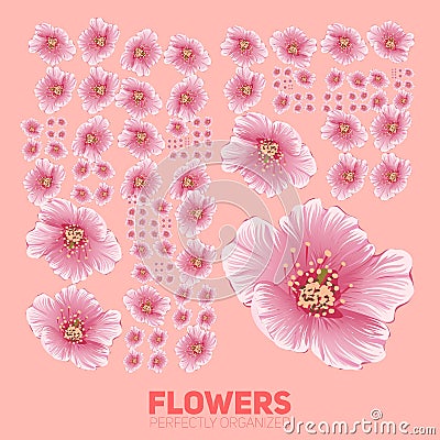 Cherry blossom flowers organized perfectly. Vector sakura flowers organized neatly by the grid. Conceptual floral Vector Illustration