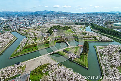 Cherry blossom at Goryokaku park Stock Photo