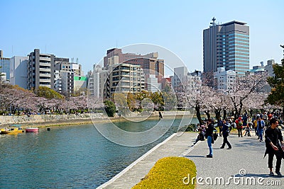 Cherry blossom, Hiroshima, Japan Editorial Stock Photo