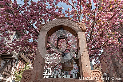 Cherry blossom in an old square with a medieval well in spring Stock Photo