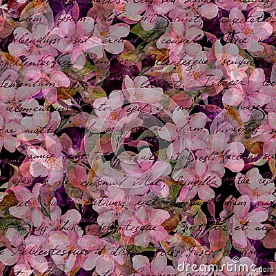 Cherry blossom, pink flowers, hand written text. Black background. Mysterious seamless pattern Stock Photo