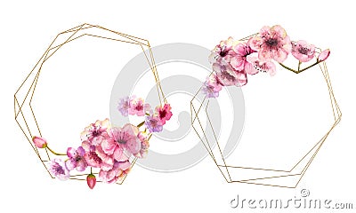 Cherry blossom, Sakura branch with pink flowers on gold frame and isolated on white background. Image of spring. 2 frames with Cartoon Illustration