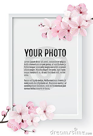 Cherry blossom, sakura branch with pink flowers on white frame. Realistic image of springtime. Vector illustration Vector Illustration