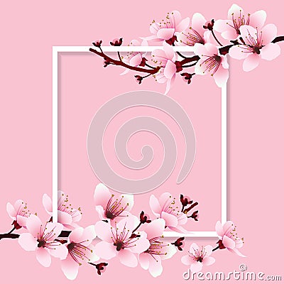 Cherry blossom Vector Illustration