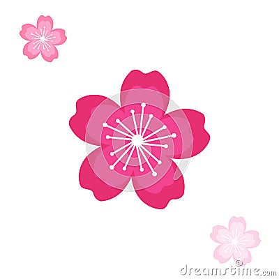 Cherry blossom / sakura vector illustration Vector Illustration