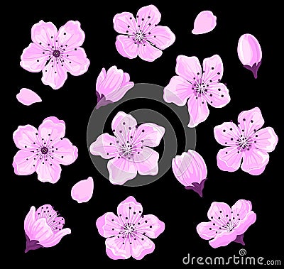 Cherry Blossom Set Vector Illustration