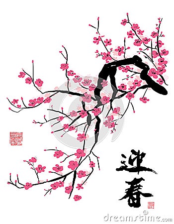 Cherry Blossom in the Spring Vector Illustration