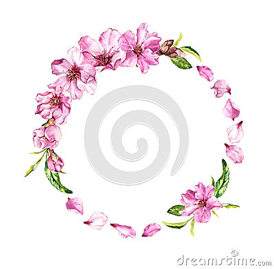 Cherry blossom, spring flowers sakura . Floral wreath with petals. Watercolor circle frame Stock Photo