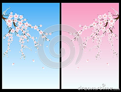 Cherry blossom tree Vector Illustration