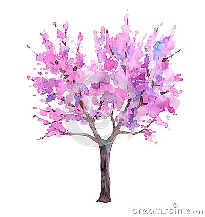 Cherry blossom tree, japanese sakura. Cartoon Illustration