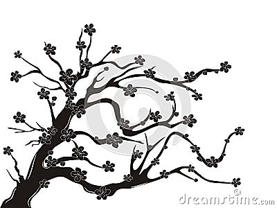 Cherry blossom tree silhouette Vector Illustration