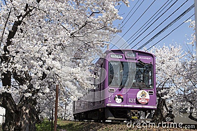 Cherry blossom tunnel, Keifuku line, Arashiyama, Kyoto. railway and pink train Editorial Stock Photo