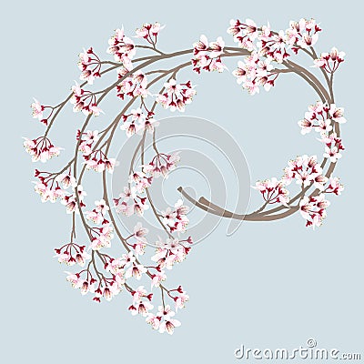 Cherry blossom wreath Vector Illustration