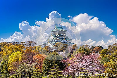 Cherry blossoms and castle in Osaka, Japan. Stock Photo