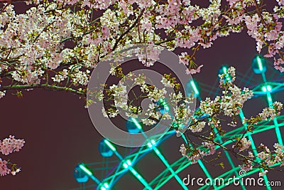 Cherry blossoms and Cosmo clock Stock Photo