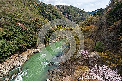 Cherry blossoms in Kyoto. Hozugawa River, Hozu Gorge. Stock Photo