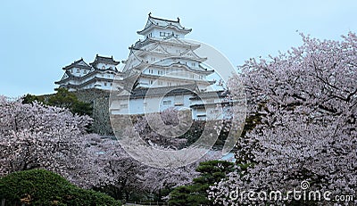 Cherry blossoms and the main tower of the UNESCO world heritage site Stock Photo