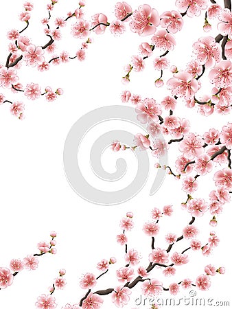 Cherry Blossoms. Sakura flowers Background. EPS 10 Vector Illustration