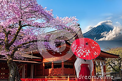 Cherry Blossoms of Shrine`FUJISAN HONGU SENGENTAISHA ` Fujinomiya City Japan and Mt.Fuji background Stock Photo