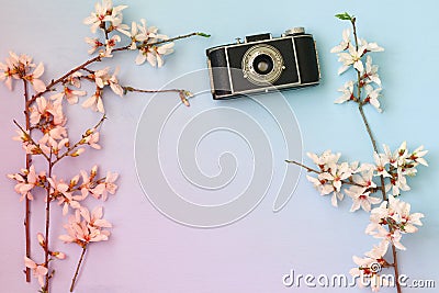 cherry blossoms tree next to old camera Stock Photo